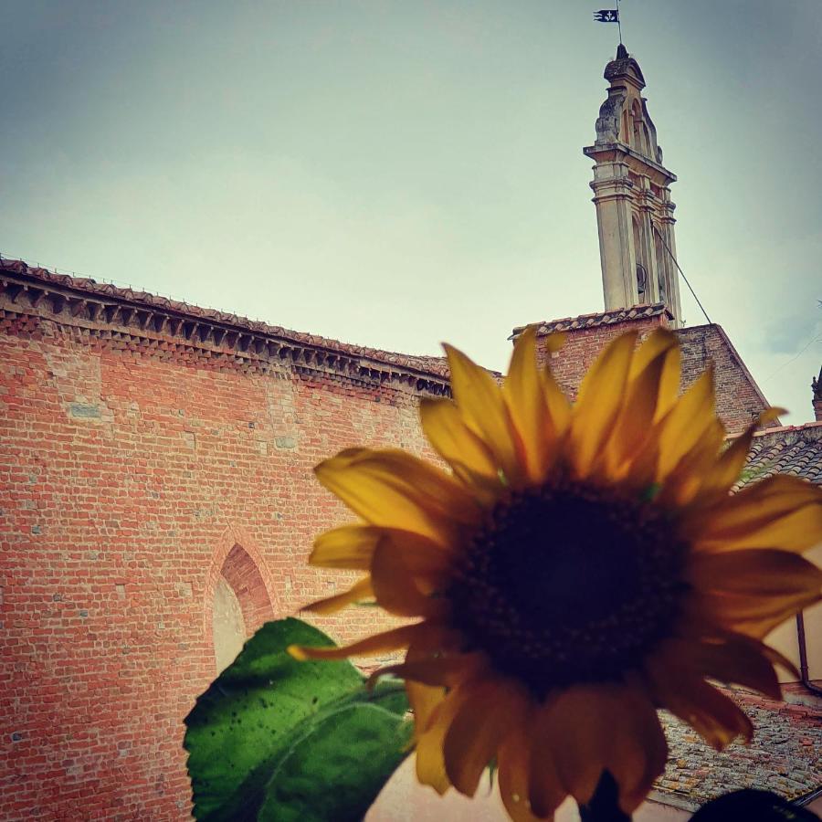 Appartaments San Francesco Castelfiorentino Exterior photo